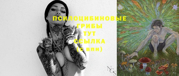 экстази Медвежьегорск